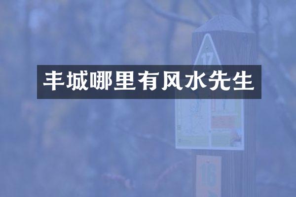 丰城哪里有风水先生