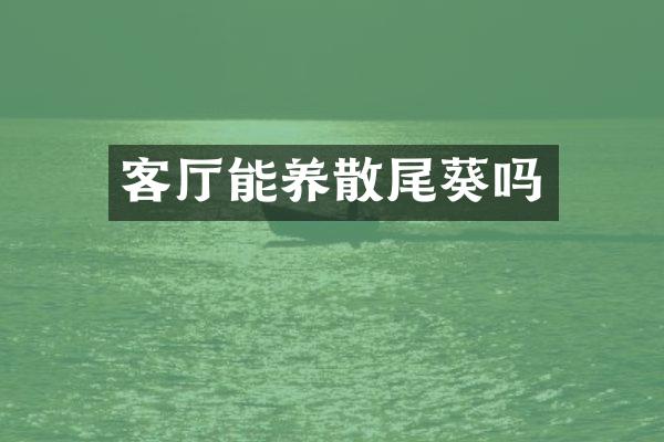 客厅能养散尾葵吗
