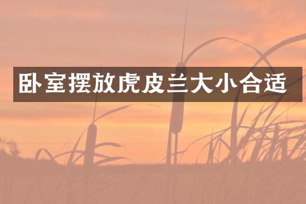 卧室摆放虎皮兰大小合适