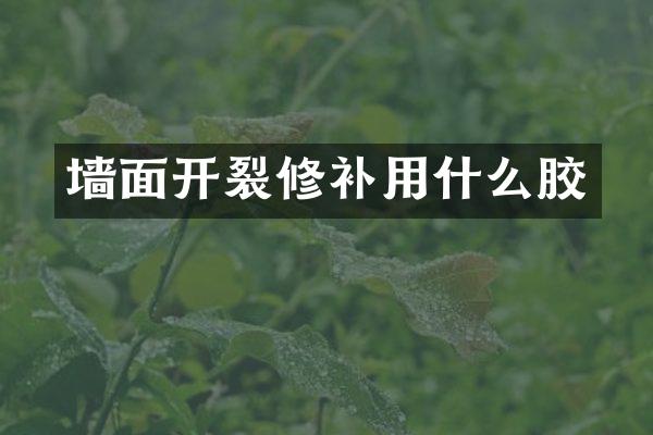 墙面开裂修补用什么胶