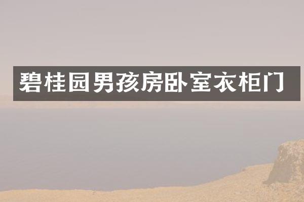 碧桂园男孩房卧室衣柜门