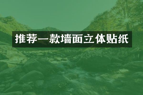 推荐一款墙面立体贴纸