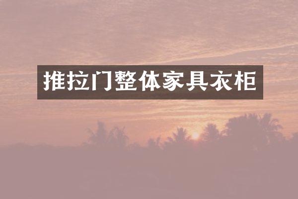 推拉门整体家具衣柜
