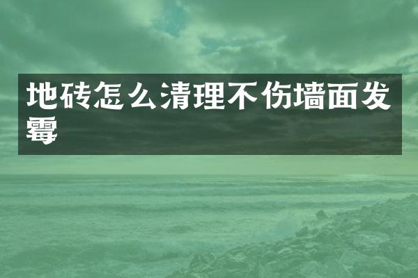 地砖怎么清理不伤墙面发霉