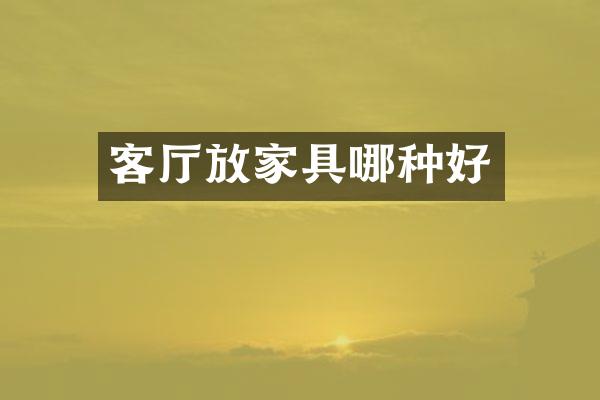 客厅放家具哪种好