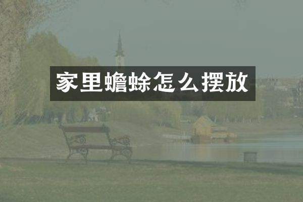 家里蟾蜍怎么摆放