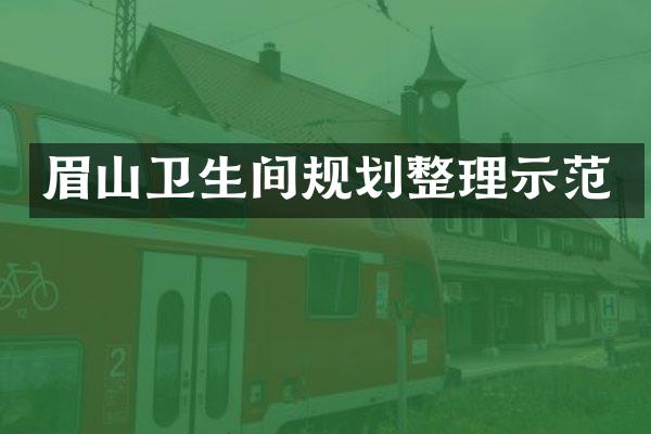 眉山卫生间规划整理示范