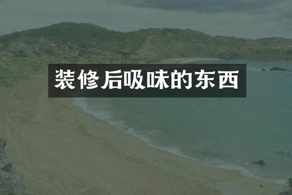 装修后吸味的东西