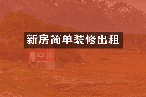 新房简单装修出租