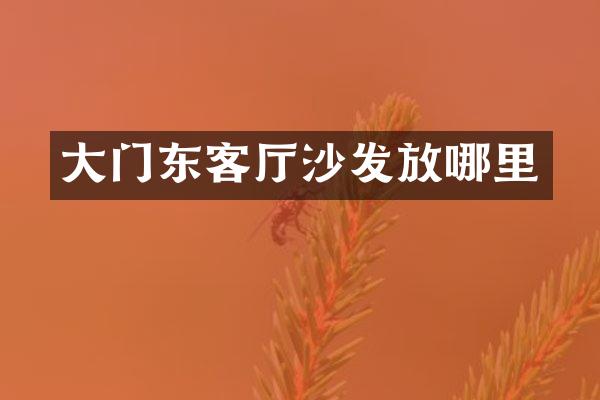 大门东客厅沙发放哪里