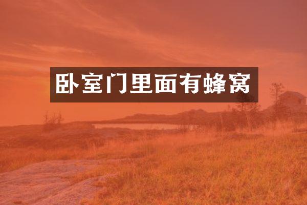 卧室门里面有蜂窝