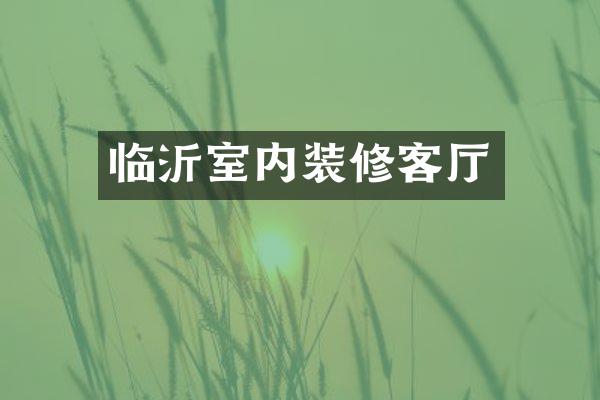 临沂室内装修客厅