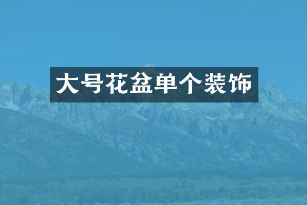 大号花盆单个装饰