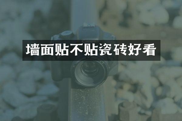 墙面贴不贴瓷砖好看