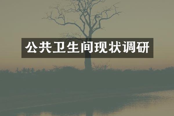 公共卫生间现状调研