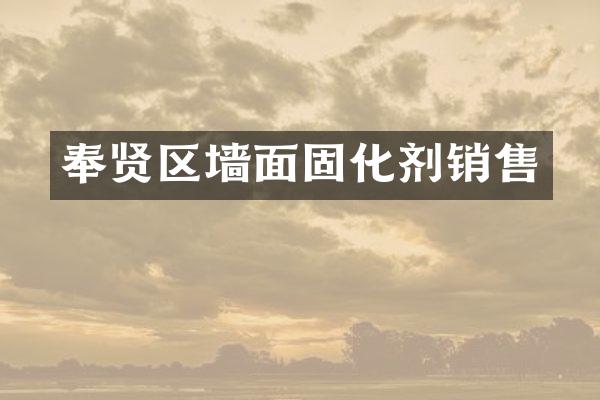 奉贤区墙面固化剂销售