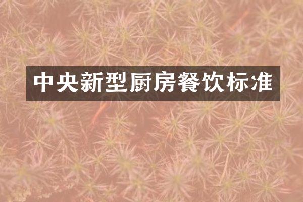 中央新型厨房餐饮标准