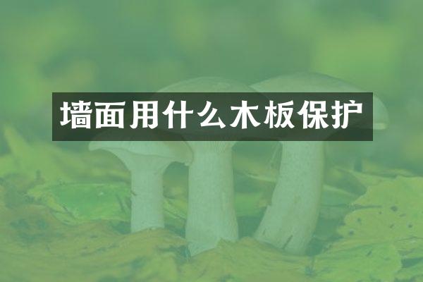 墙面用什么木板保护