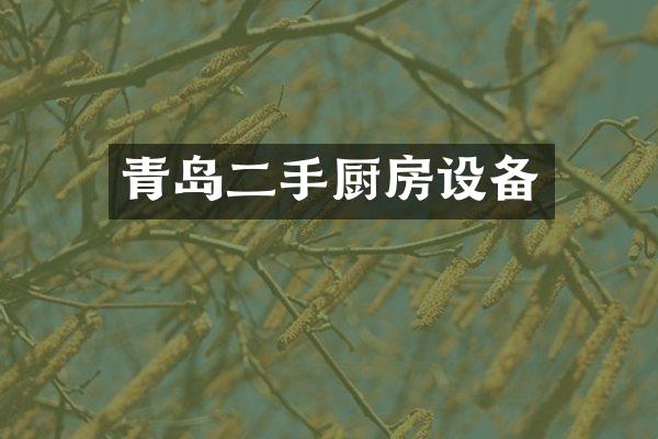 青岛二手厨房设备