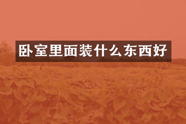卧室里面装什么东西好