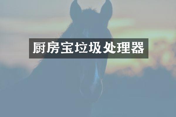 厨房宝垃圾处理器