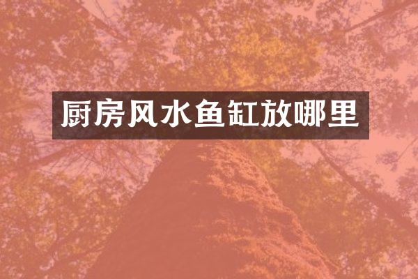 厨房风水鱼缸放哪里