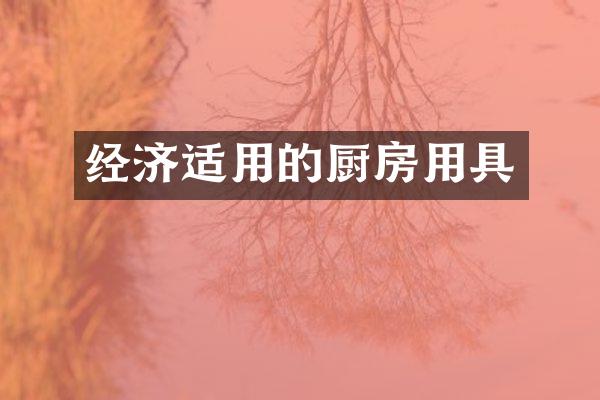 经济适用的厨房用具