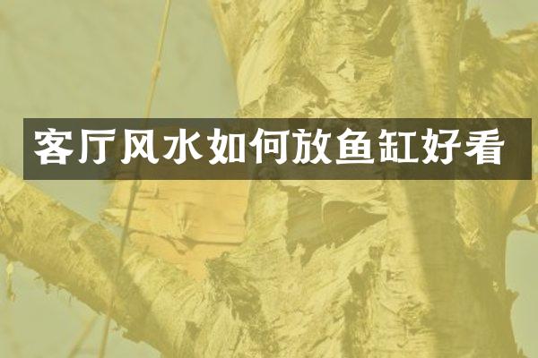 客厅风水如何放鱼缸好看