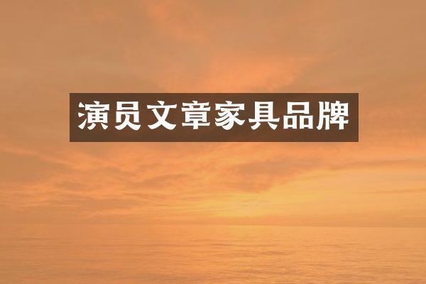 演员文章家具品牌