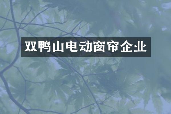 双鸭山电动窗帘企业