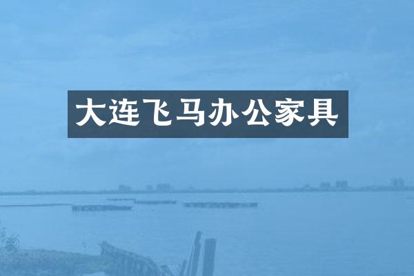 大连飞马办公家具