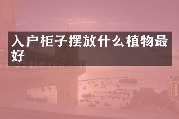 入户柜子摆放什么植物最好
