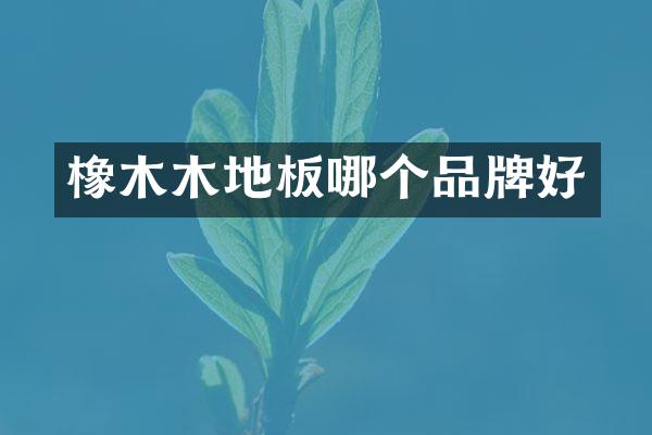 橡木木地板哪个品牌好
