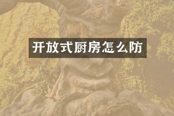 开放式厨房怎么防