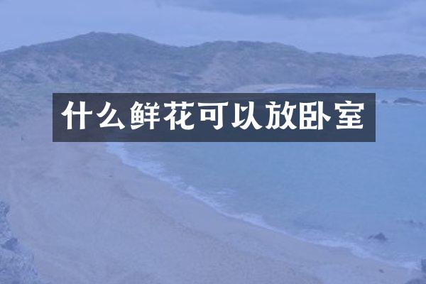 什么鲜花可以放卧室