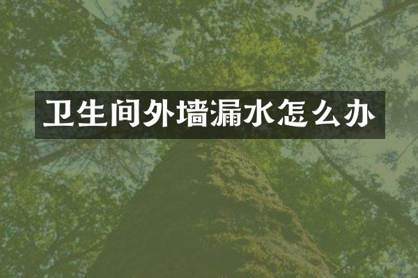卫生间外墙漏水怎么办