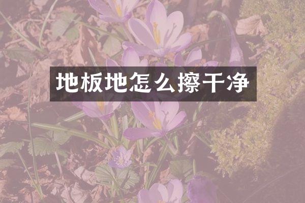 地板地怎么擦干净