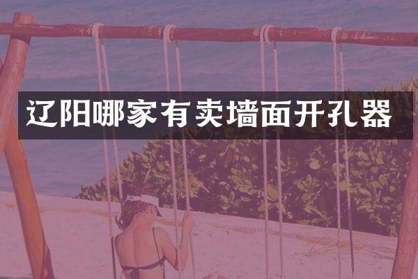 辽阳哪家有卖墙面开孔器