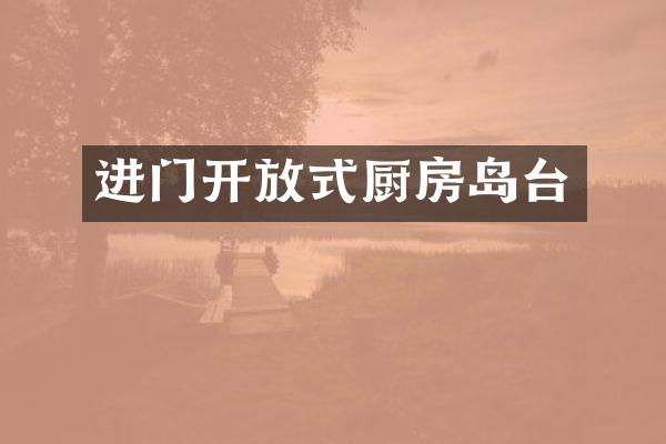 进门开放式厨房岛台