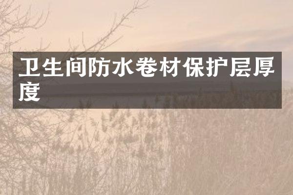 卫生间防水卷材保护层厚度