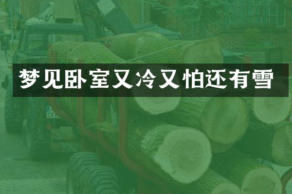 梦见卧室又冷又怕还有雪