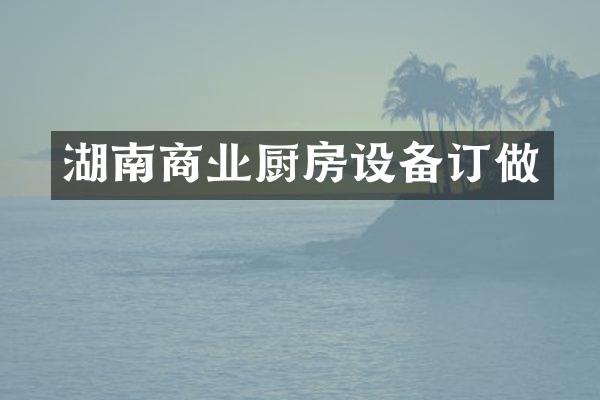 湖南商业厨房设备订做