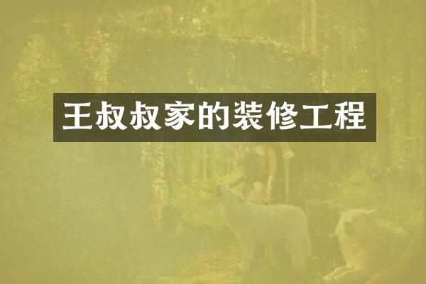 王叔叔家的装修工程