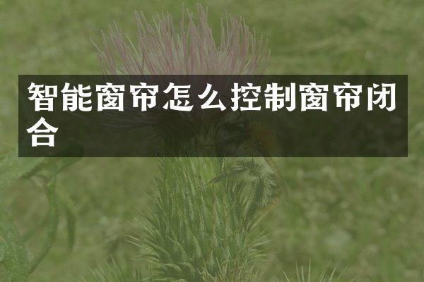 智能窗帘怎么控制窗帘闭合