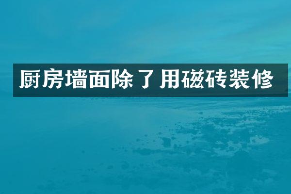 厨房墙面除了用磁砖装修