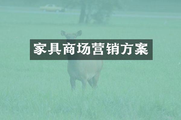 家具商场营销方案