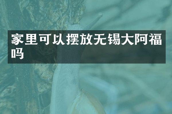 家里可以摆放无锡大阿福吗