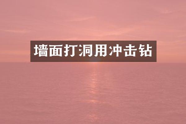 墙面打洞用冲击钻