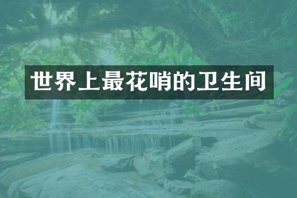 世界上最花哨的卫生间