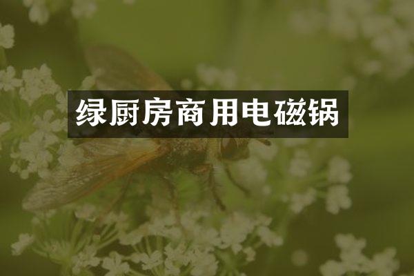 绿厨房商用电磁锅
